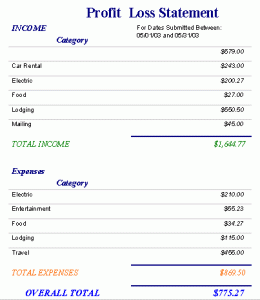 profit and loss statement